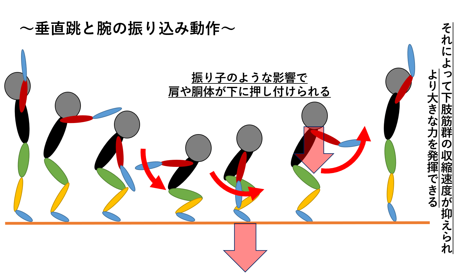 垂直跳のバイオメカニクス 垂直跳のコツ 陸上競技の理論と実践 Sprint Conditioning